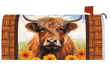 [Highland Cow Mailbox Cover]