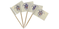 [Coast Guard Toothpick Flags]