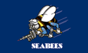 [Regular Navy Seabees Flag]
